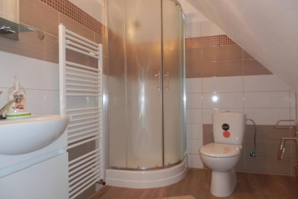 Zámeček Zdíky - Moderní velký apartmán Bujanov Exterior foto